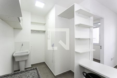 Cozinha de apartamento para alugar com 2 quartos, 33m² em Cidade Mãe do Céu, São Paulo