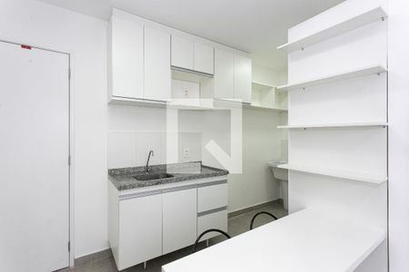 Cozinha de apartamento para alugar com 2 quartos, 33m² em Cidade Mãe do Céu, São Paulo