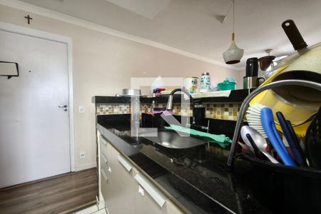 Cozinha e Área de Serviço de apartamento para alugar com 2 quartos, 54m² em Jardim do Lago Ii, Campinas