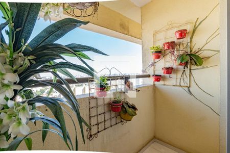 Apartamento à venda com 3 quartos, 63m² em Vila Vermelha, São Paulo