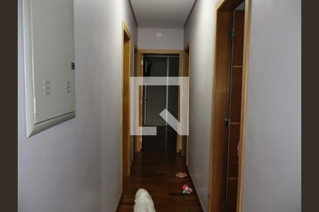 Corredor de casa à venda com 3 quartos, 280m² em Jardim Piqueroby, São Paulo