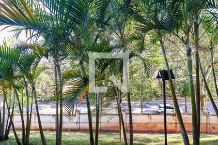 Apartamento para alugar com 2 quartos, 48m² em Parque Munhoz, São Paulo