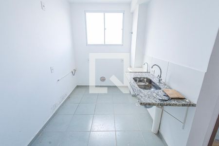 Cozinha de apartamento para alugar com 2 quartos, 45m² em Juliana, Belo Horizonte