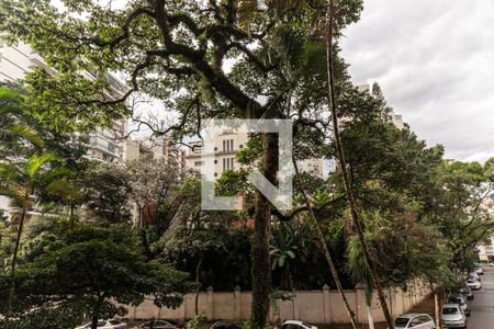 Vista da Sala de apartamento para alugar com 3 quartos, 134m² em Higienópolis, São Paulo