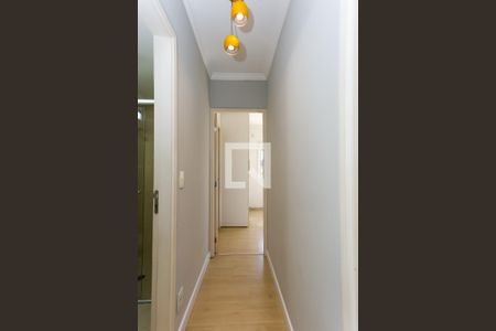 corredor de apartamento para alugar com 2 quartos, 52m² em Vila Suzana, São Paulo