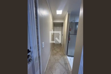Corredor de apartamento para alugar com 2 quartos, 47m² em Jardim São Vicente, Campinas