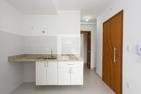 Cozinha de apartamento para alugar com 1 quarto, 30m² em Vila Antonina, São Paulo