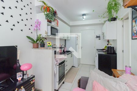 Apartamento à venda com 1 quarto, 32m² em Vila Palmeiras, São Paulo