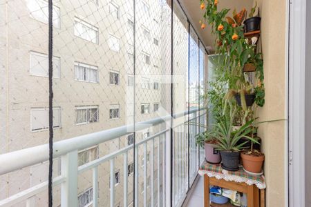 Varanda Sala/Quarto de apartamento à venda com 1 quarto, 32m² em Vila Palmeiras, São Paulo