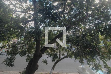Vista de apartamento para alugar com 2 quartos, 56m² em Rio Branco, Porto Alegre