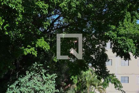 Vista de apartamento para alugar com 2 quartos, 54m² em Parque Pinheiros, Taboão da Serra