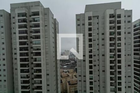 Vista da Varanda Gourmet de apartamento para alugar com 2 quartos, 55m² em Jardim Independencia, São Bernardo do Campo