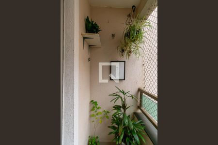 Varanda da Sala de apartamento à venda com 2 quartos, 44m² em Jardim Santa Teresinha, São Paulo