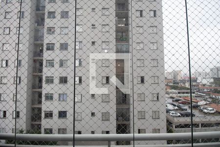 Apartamento para alugar com 3 quartos, 63m² em Vila Guilherme, São Paulo