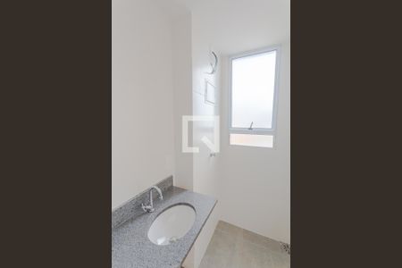 Banheiro da Suíte de apartamento para alugar com 2 quartos, 54m² em Nova Vista, Belo Horizonte