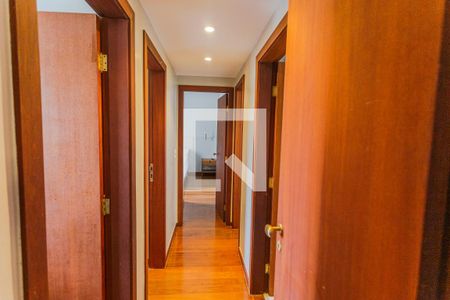 Corredor de apartamento para alugar com 3 quartos, 100m² em Carmo, Belo Horizonte
