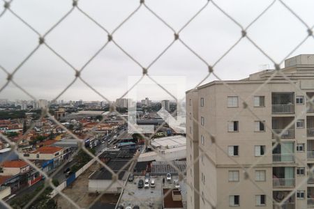 Apartamento para alugar com 2 quartos, 55m² em Vila Guilherme, São Paulo