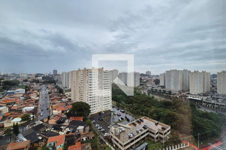 Vista da Sala  de apartamento para alugar com 2 quartos, 48m² em Vila Satúrnia, Campinas