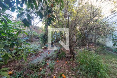 Quintal de casa à venda com 2 quartos, 133m² em Tristeza, Porto Alegre