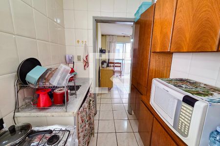 Cozinha de apartamento para alugar com 2 quartos, 42m² em Vila Antartica, Praia Grande