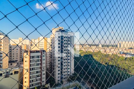 Apartamento para alugar com 2 quartos, 66m² em Vila Monte Alegre, São Paulo