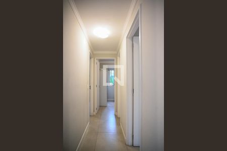 Corredor de apartamento à venda com 3 quartos, 58m² em São João Climaco, São Paulo