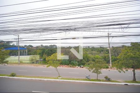vita do Quarto 1 de apartamento para alugar com 2 quartos, 50m² em Vargas, Sapucaia do Sul
