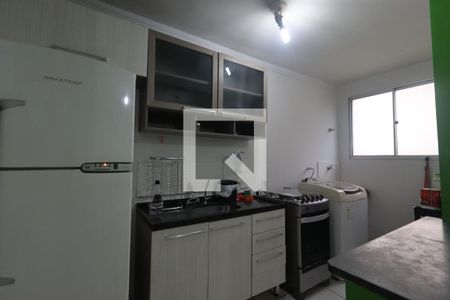 Cozinha de apartamento para alugar com 2 quartos, 50m² em Sumarezinho, Ribeirão Preto