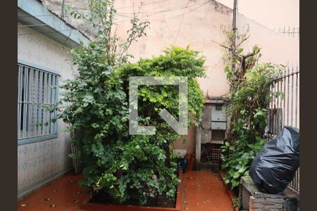 Quintal de casa à venda com 4 quartos, 187m² em Vila Portuguesa, São Paulo