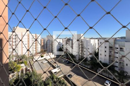 Apartamento à venda com 2 quartos, 45m² em Jardim Alto da Boa Vista, Valinhos