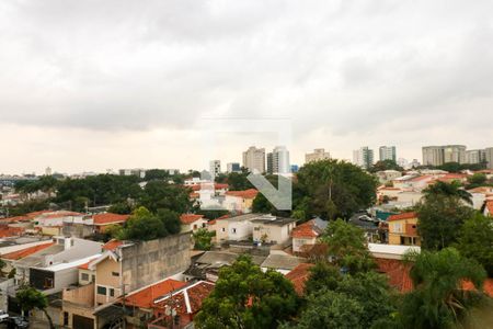 Apartamento para alugar com 2 quartos, 61m² em Vila Congonhas, São Paulo