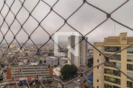 Apartamento à venda com 3 quartos, 81m² em Vila Mascote, São Paulo