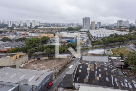 Vista do Quarto 1 de apartamento para alugar com 2 quartos, 49m² em Socorro, São Paulo