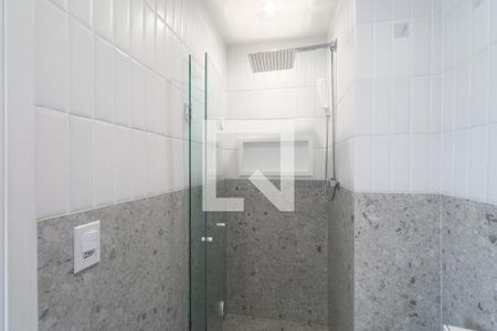 Banheiro  de apartamento para alugar com 2 quartos, 47m² em Parque Industrial Tomas Edson, São Paulo