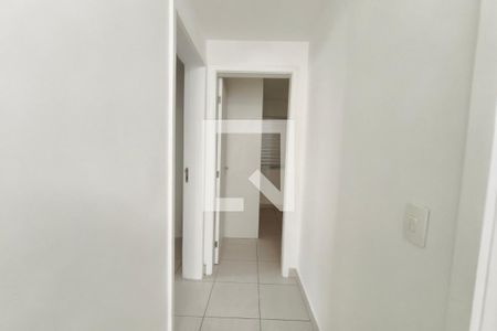 Corredor - Quartos de apartamento para alugar com 3 quartos, 74m² em Jardim Aurelia, Campinas