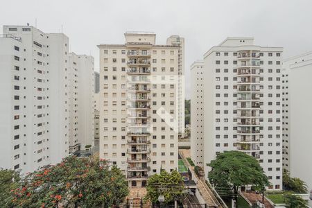 Vista da Varanda de kitnet/studio à venda com 2 quartos, 105m² em Sumarezinho, São Paulo