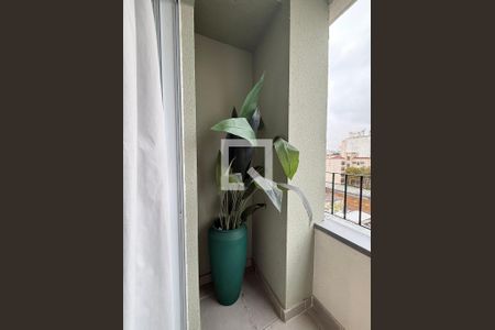 Kitnet/Studio para alugar com 1 quarto, 24m² em Campos Elíseos, São Paulo