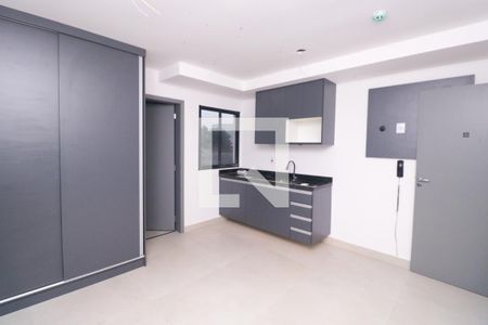 Sala/Cozinha/Quarto de kitnet/studio para alugar com 1 quarto, 20m² em Vila Sao Pedro, Santo André