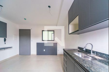 Kitnet de casa de condomínio para alugar com 1 quarto, 20m² em Vila Sao Pedro, Santo André