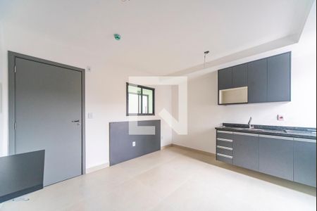 Kitnet de casa de condomínio para alugar com 1 quarto, 20m² em Vila Sao Pedro, Santo André
