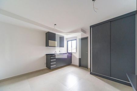 Kitnet de casa de condomínio para alugar com 1 quarto, 20m² em Vila Sao Pedro, Santo André