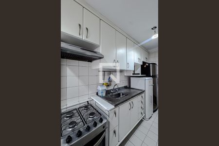 Cozinha e Área de Serviço de apartamento para alugar com 3 quartos, 74m² em Canindé, São Paulo