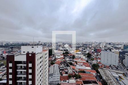 Vista da Varanda de apartamento para alugar com 3 quartos, 74m² em Canindé, São Paulo