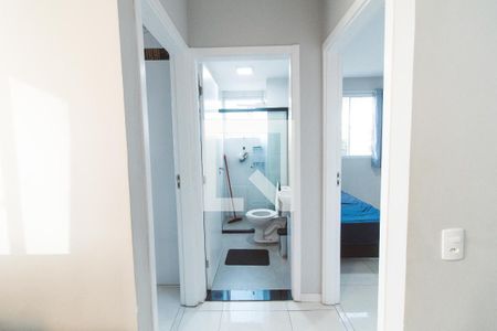 Corredor de apartamento para alugar com 2 quartos, 39m² em Vila Pedra Branca, São Paulo