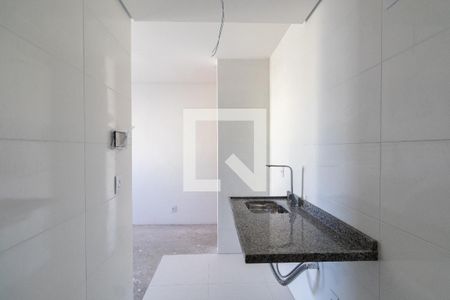 Cozinha e Área de Serviço de apartamento à venda com 2 quartos, 36m² em Vila Santana, São Paulo