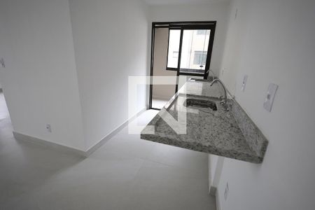 Cozinha de apartamento para alugar com 2 quartos, 61m² em Parque das Nações, Santo André
