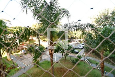 Apartamento à venda com 3 quartos, 70m² em Vila Nova Teixeira, Campinas