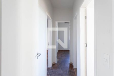 Corredor de apartamento para alugar com 3 quartos, 90m² em Santa Rosa, Belo Horizonte