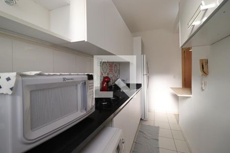 Cozinha de apartamento para alugar com 2 quartos, 47m² em Nova Aliança, Ribeirão Preto