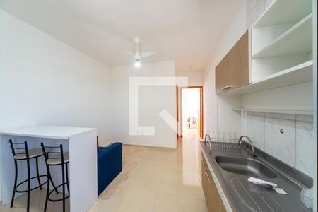 Sala Cozinha de apartamento para alugar com 1 quarto, 31m² em Jardim Algarve, Viamão